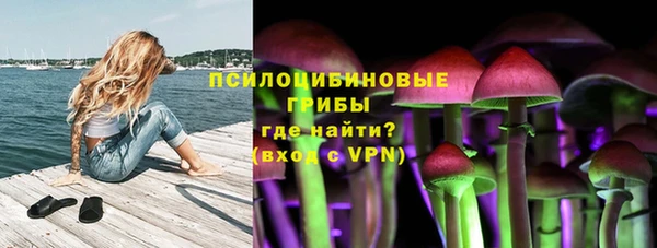 мескалин Алексин
