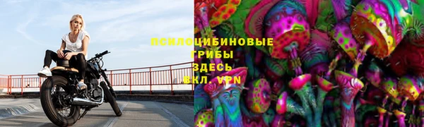 apvp Алексеевка