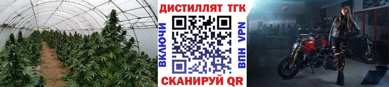 ТГК Wax  mega ССЫЛКА  Ярцево 